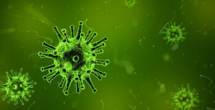 tribunal_coronavirus_1 Tomado del sitio web del MINSAP