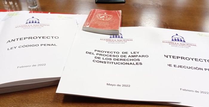 Proyecto de ley del proceso de amparo de los derechos constitucionales. Proyecto de leyes
