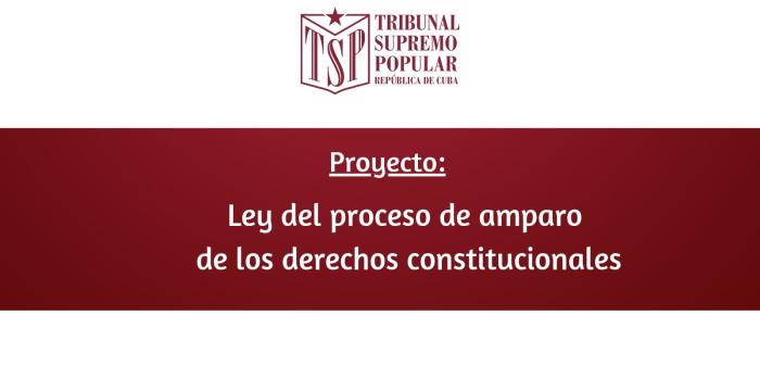 Ley del proceso de amparo de los derechos constitucionales Ley del proceso de amparo de los derechos constitucionales