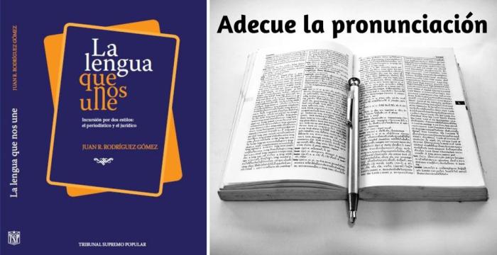 tribunal1 Ilustración del libro: La lengua que nos une