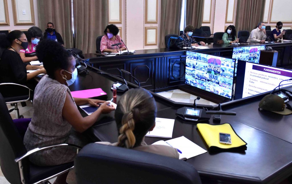 Videoconferencia con diputados