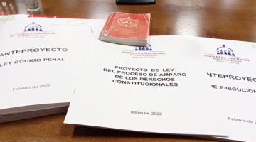Proyecto de leyes